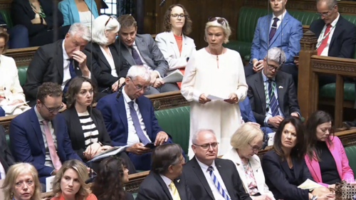 Rachel Gilmour MP in Parliament 